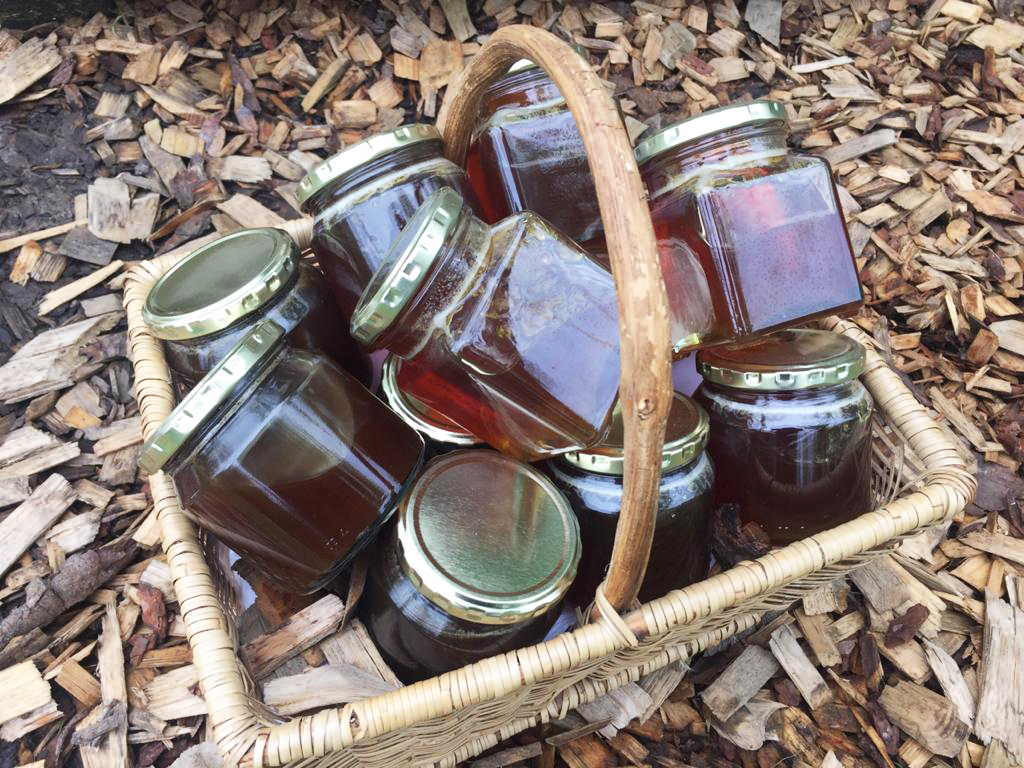 Oakhurst farm honey
